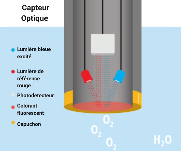 Schéma du fonctionnement d'un capteur optique