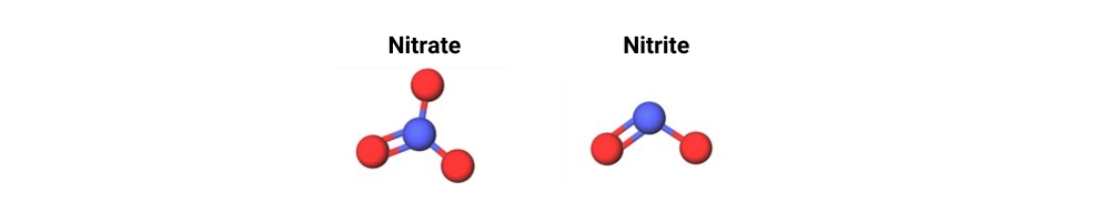 Nitrite et nitrate