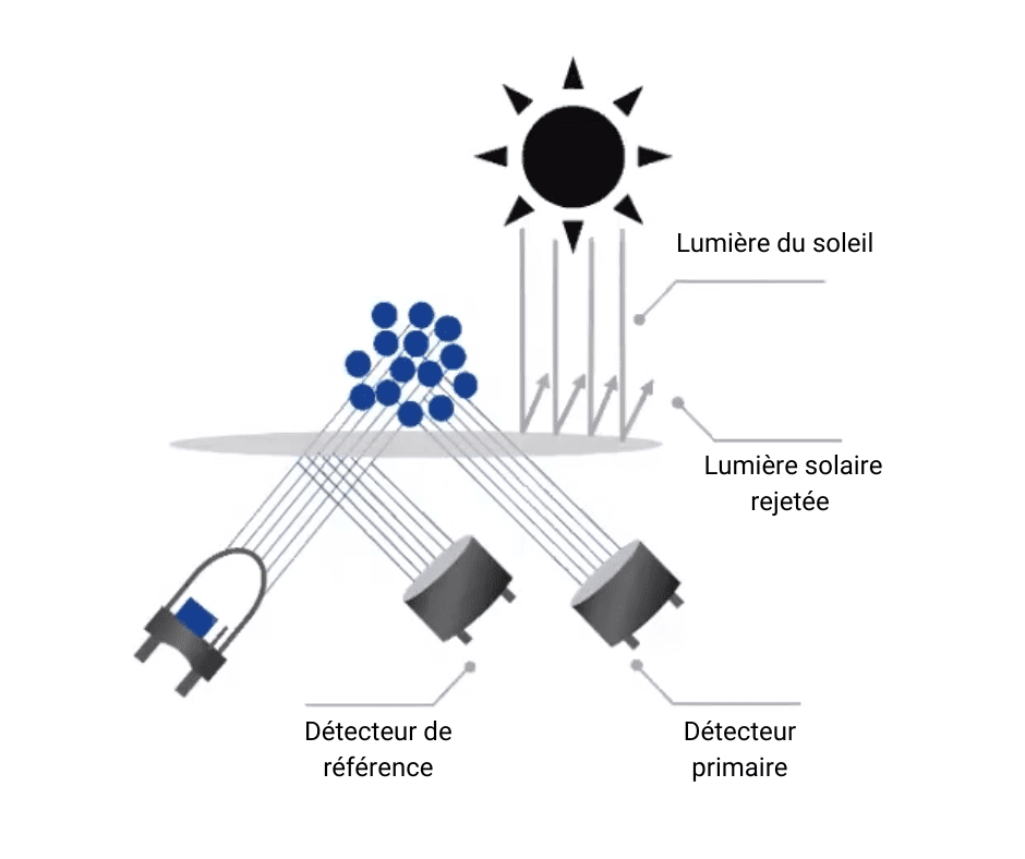 fr labelled diagram 2