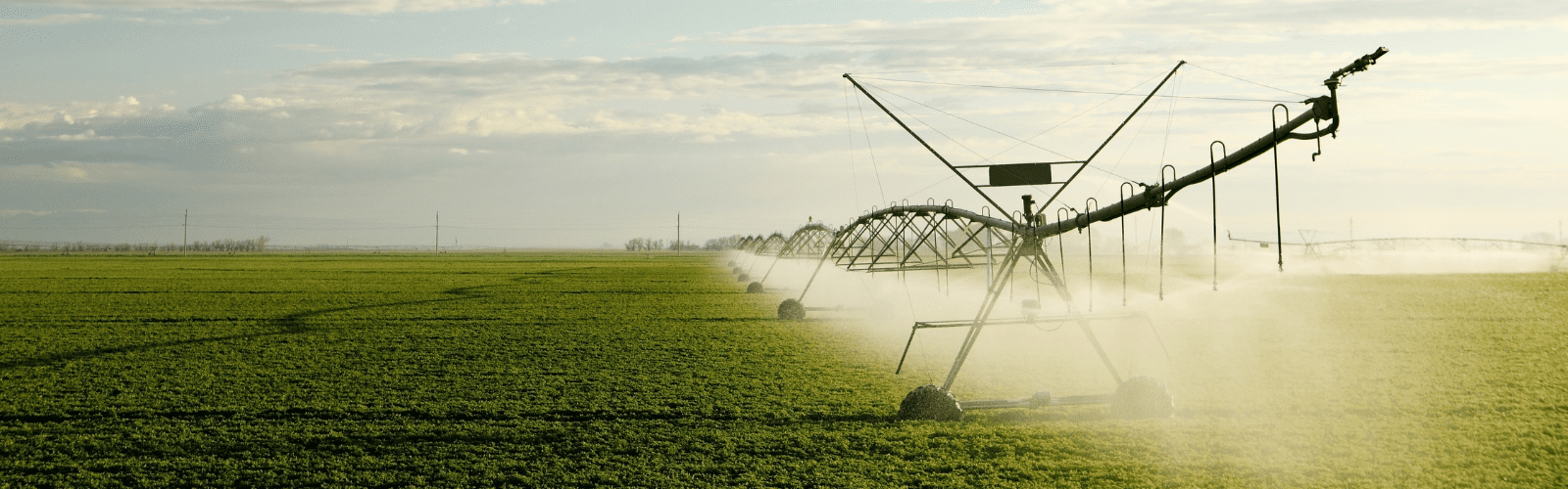 irrigation system
